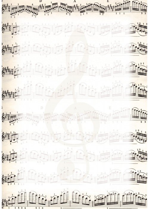 Popierius diplomams A4 170g 25l NUTY