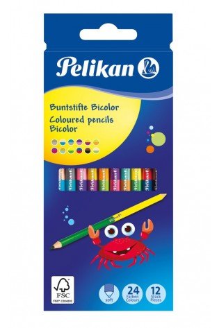 Pieštukai spalvoti 12/ 24sp