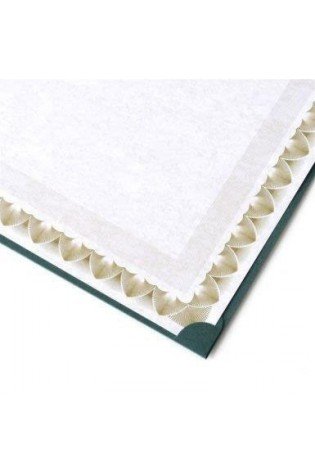 Aplankas A4 su auksiniu rėmeliu žalias