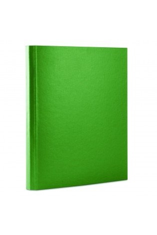 Aplankas su lipukais A4 40mm žalias