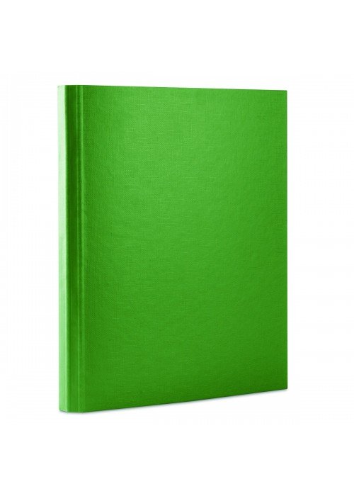 Aplankas su lipukais A4 40mm žalias