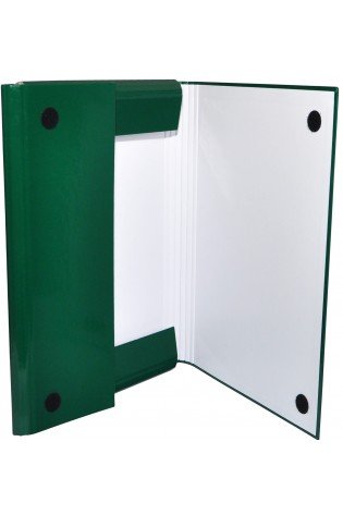 Aplankas su lipukais A4 40mm žalias