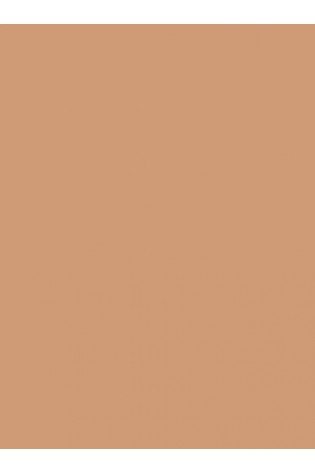 Spalvotas kartonas A1/ 160g šv.rudas