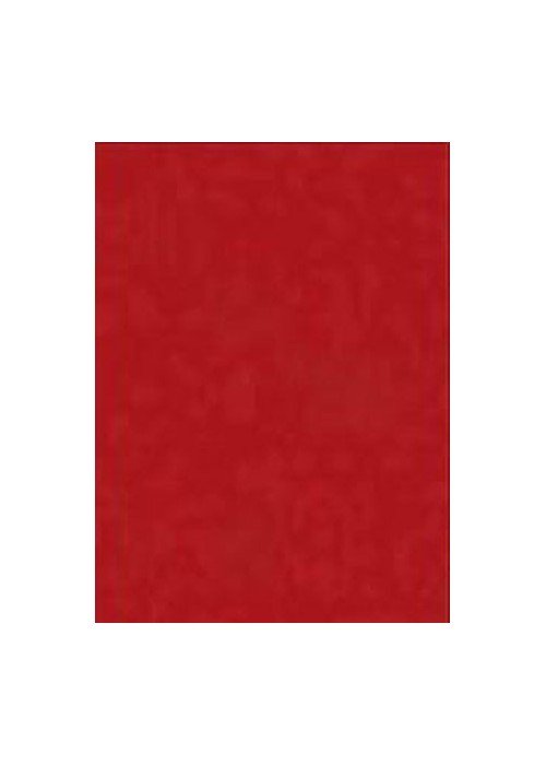 Spalvotas kartonas A1/ 160g bordo