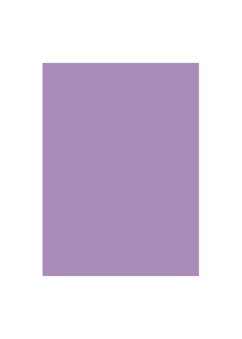 Spalvotas kartonas A1/ 160g tams.violetin