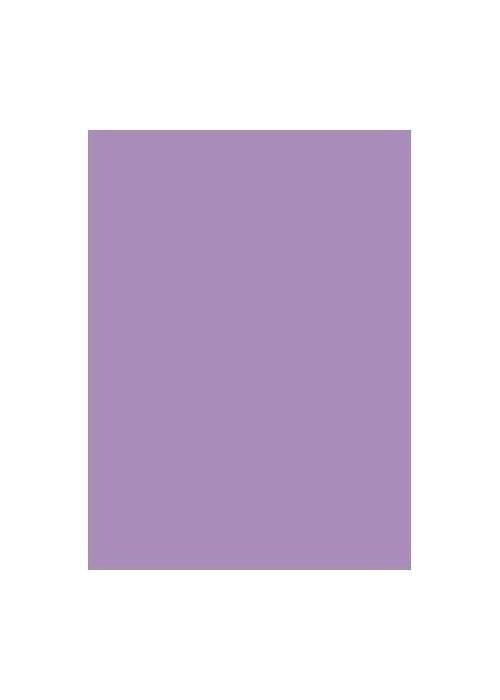 Spalvotas kartonas A2/ 170g tams.violetin