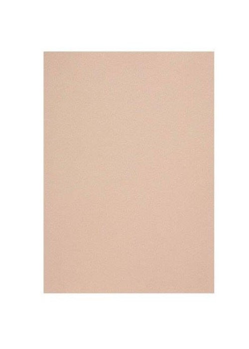 Popier.A4 CM 120g. Nude 408158