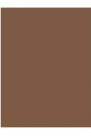 Spalvotas kartonas A2/ 170g tams.rudas