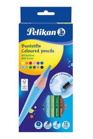 Pieštukai spalvoti 12sp (ištrinami)