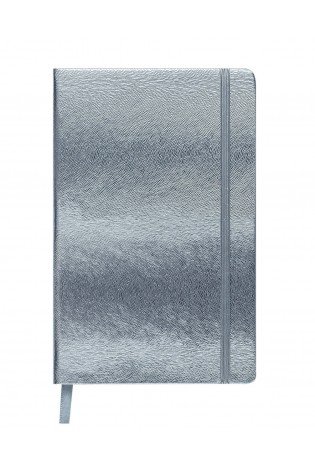 Knygutė INGOT 125x195mm 80l lang., sidabrinė