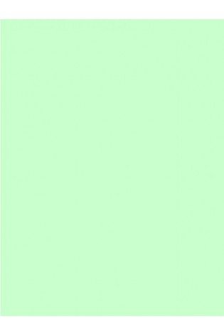 Spalvotas kartonas A2/ 170g t.žalias