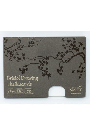 Piešimo kortelės 106x147 20vnt, 308gsm*