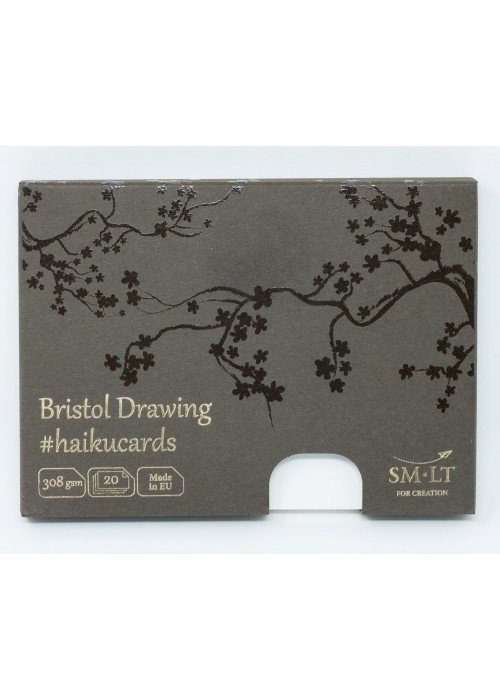 Piešimo kortelės 106x147 20vnt, 308gsm*