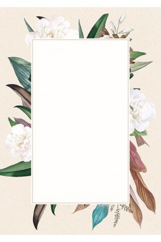 Popierius diplomams A4 170g 25l CAMELLIA