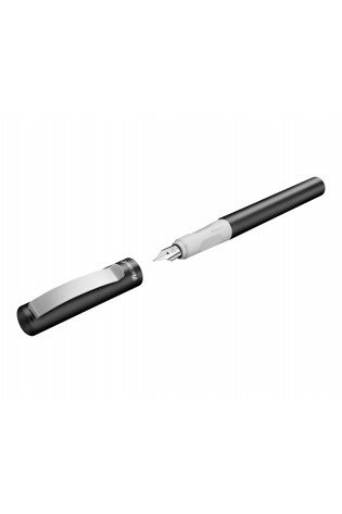 Plunksnakotis PINA COLADA M t.grafitinis metallic