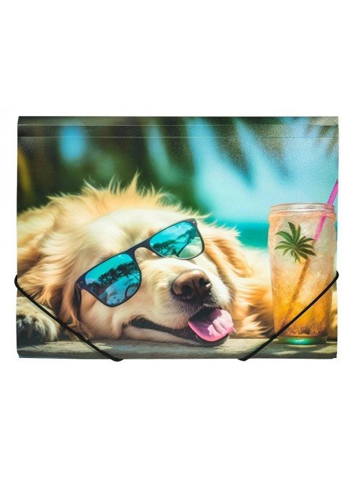 Aplankas su guma A4 CHILLOUT DOG