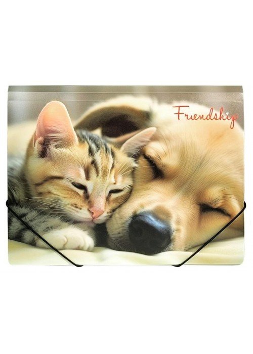 Aplankas su guma A4 FRIENDSHIP