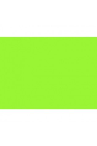 Spalvotas popierius 80g A4/ 100l Fluo žalias