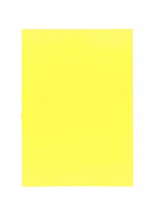 Spalvotas popierius 80g A4/ 100l Fluo geltonas