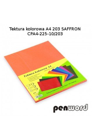 Kartonas A4/ 10l 225g PenWord oranžinis
