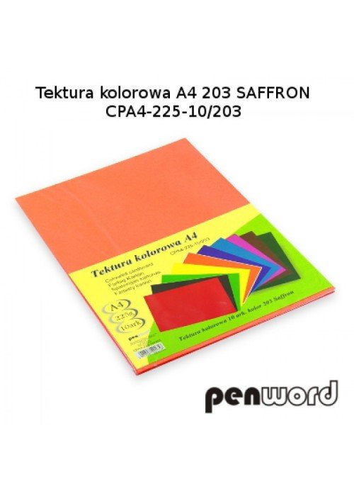 Kartonas A4/ 10l 225g PenWord oranžinis