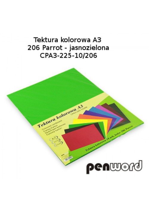 Kartonas A3/ 10l 225g žalias PenWord