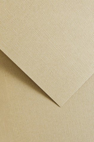 Dekoratyvinis popierius RYPS A4 šv.rudas 250g 20l