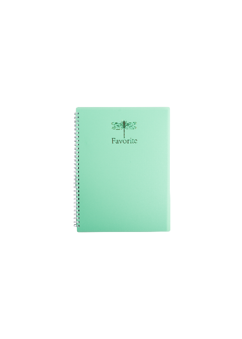 Sąsiuvinis su spirale, plastikiniu viršeliu FAVORITE A4 80lap., lang.,mėtinis