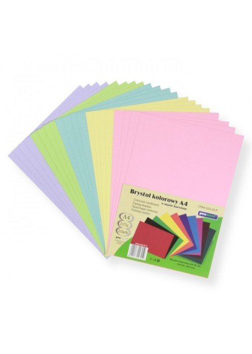 Kartonas A4/ 20l 225g PenWord pastel MIX