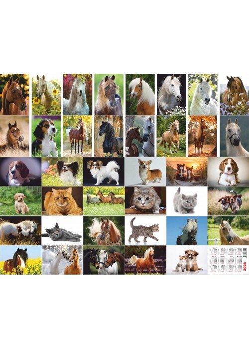 Mažas kalendoriukas 2026