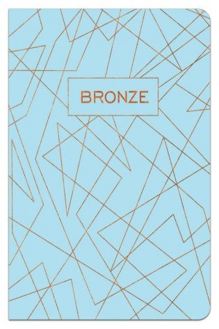 Sąsiuvinis A5 96lap 70g lang BRONZE