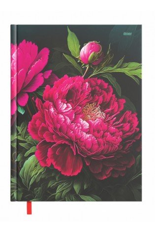 Mokslo knyga 14x19cm CARMEN