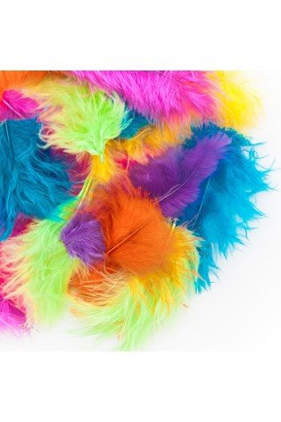 Plunksnos 5-12cm, 5g, exotic