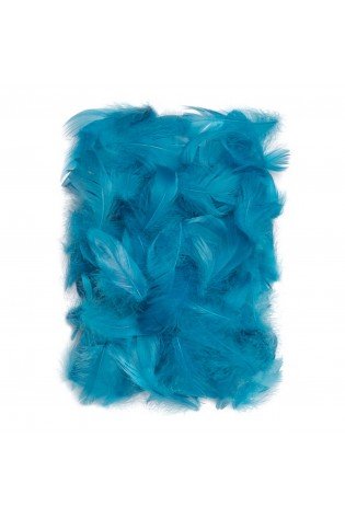 Plunksnos 5-12cm 10g, turkio sp.