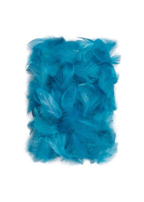 Plunksnos 5-12cm 10g, turkio sp.