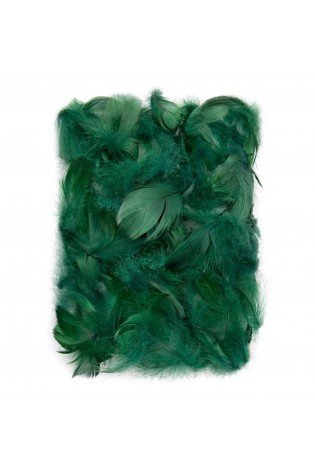 Plunksnos 5-12cm 10g, t.žalios