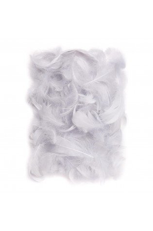 Plunksnos 5-12cm 10g, šv.pilkos