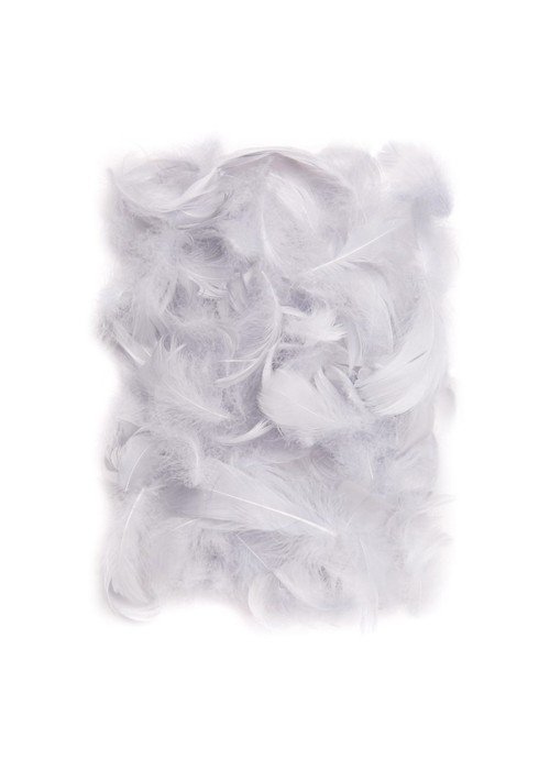 Plunksnos 5-12cm 10g, šv.pilkos