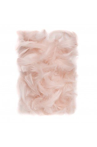 Plunksnos 5-12cm 10g, pastelinės sp.