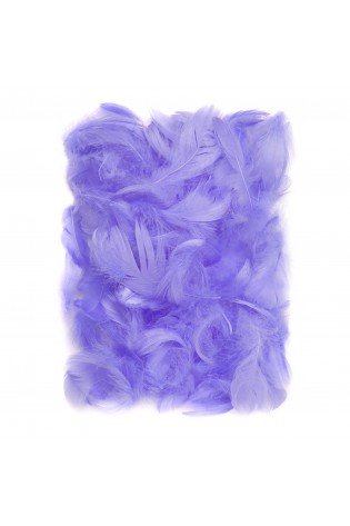 Plunksnos 5-12cm 10g, šv.violetinės