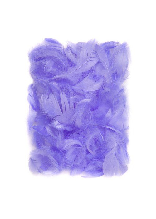Plunksnos 5-12cm 10g, šv.violetinės