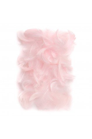 Plunksnos 5-12cm 10g, rausvos