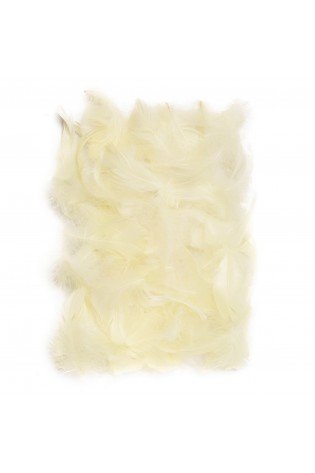 Plunksnos 5-12cm 10g, smėlio sp.