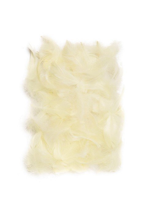 Plunksnos 5-12cm 10g, smėlio sp.