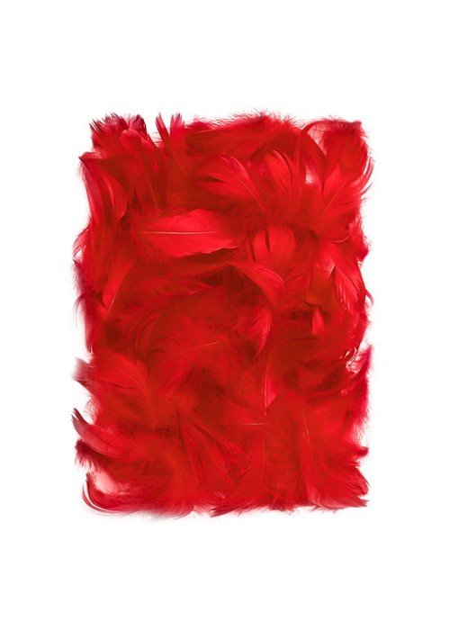 Plunksnos 5-12cm 10g, raudonos