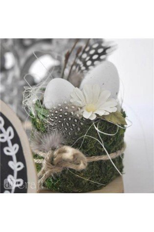 Plunksnos putpelių 5-12cm, 5g