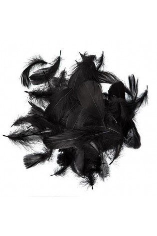 Plunksnos 5-12cm 10g, juodos