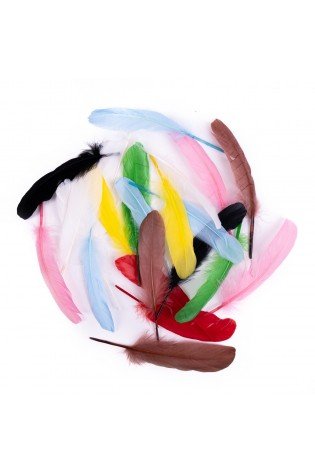 Plunksnos žąsies 16cm 20vnt mix