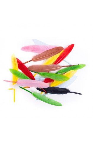 Plunksnos žąsies 13cm 20vnt mix