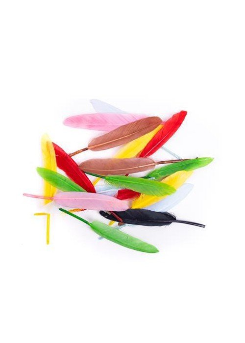 Plunksnos žąsies 13cm 20vnt mix